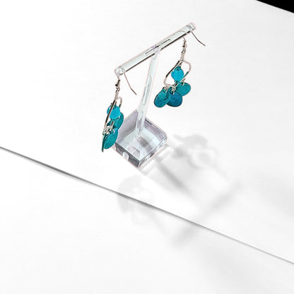 Blue Carousel